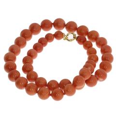 Beautiful Coral Bead Necklace 7
