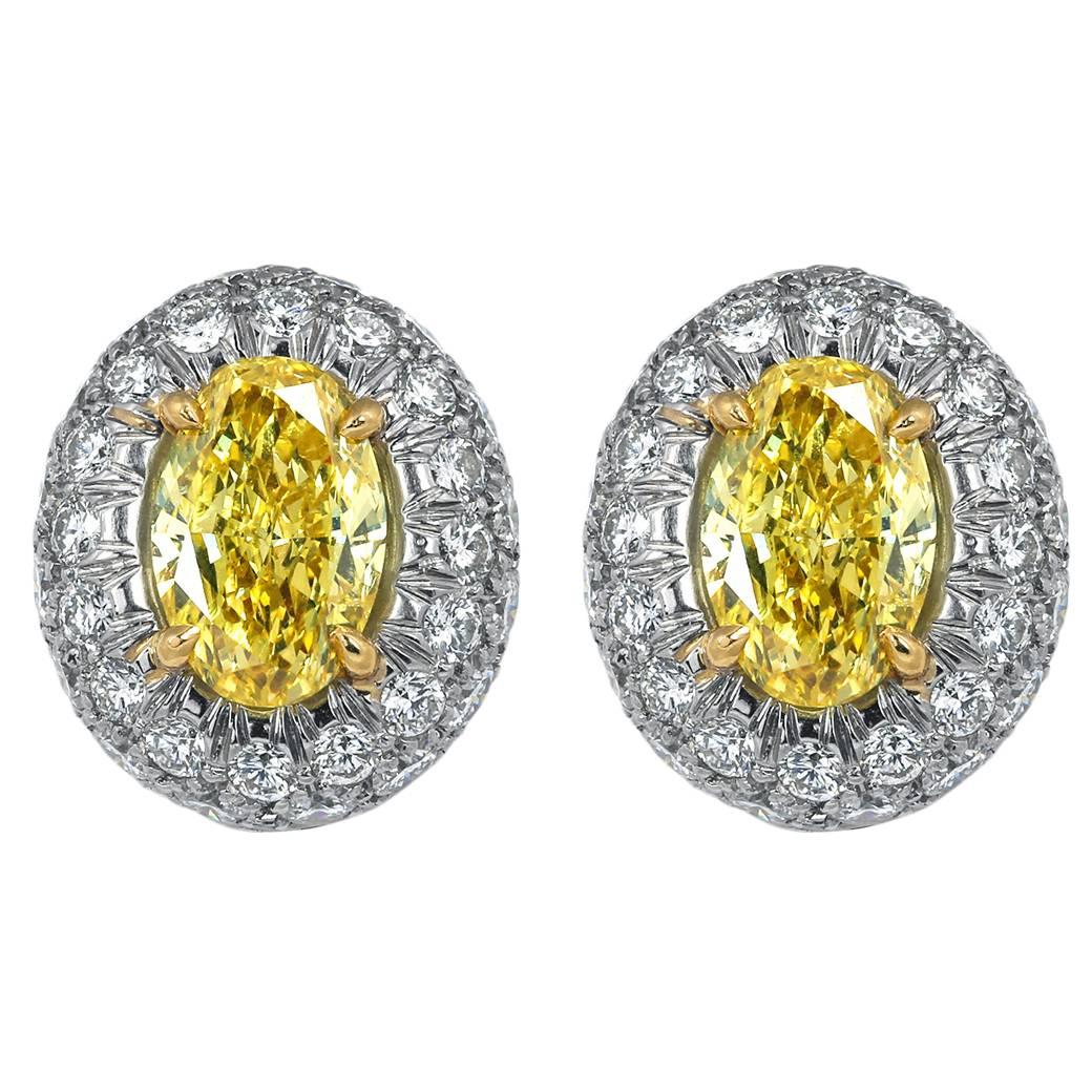 Oval Shaped Canary Diamond Gold Earrings For Sale