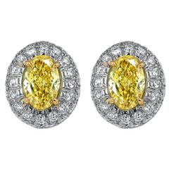 Oval Shaped Canary Diamond Gold Earrings