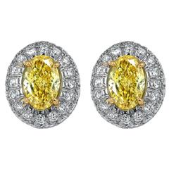 Oval Shaped Canary Diamond Gold Earrings