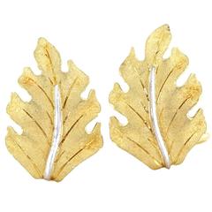 Buccellati Gold Leaf Motif Earrings 