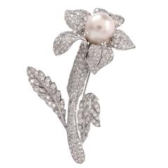 South Sea Pearl Diamond Gold Flower Brooch Pin