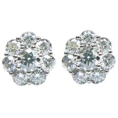 Floral Diamond White Gold Cluster Stud Earrings 12