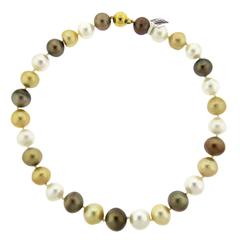 Impressive South Sea Pearl Gold Necklace 11