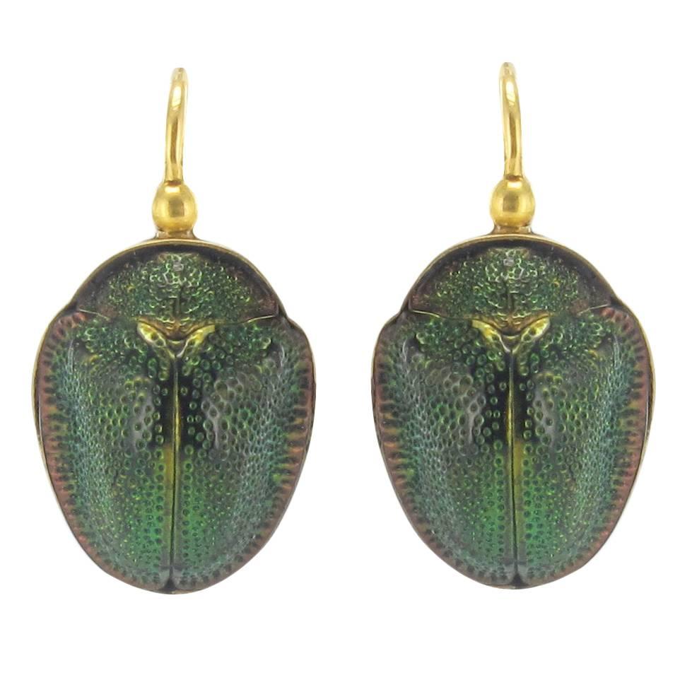 Antique Genuine Beetle Gold Earrings 
