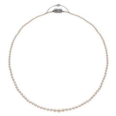 A Single Strand Natural Saltwater Pearl Necklace 