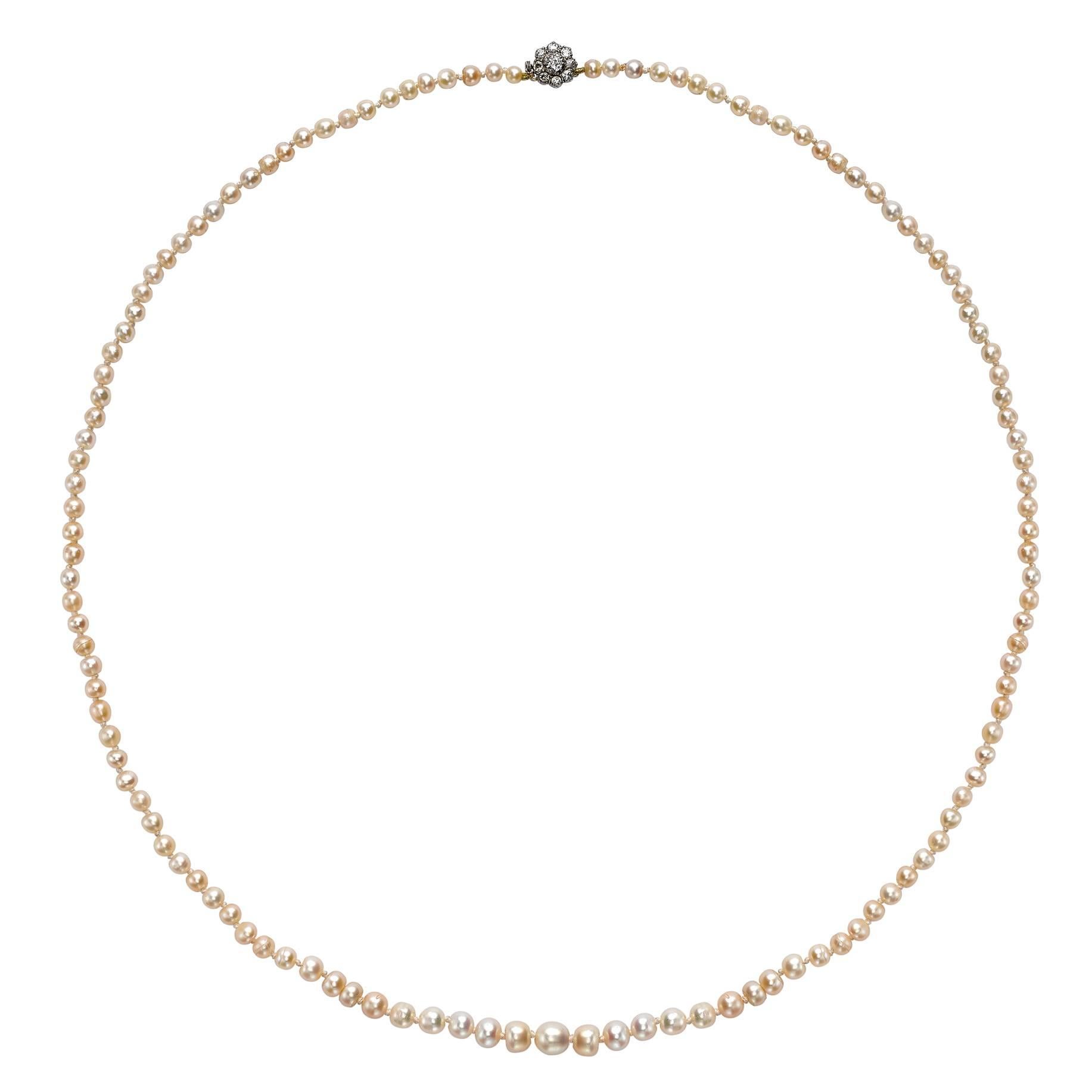 Yellow gold graduated natural saltwater pearl necklet For Sale