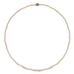 Yellow gold graduated natural saltwater pearl necklet
