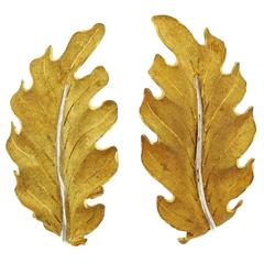 Buccellati Gold Large Leaf Earrings
