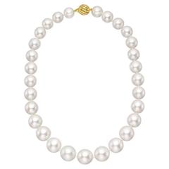 South Sea Pearl Gold Clasp Necklace