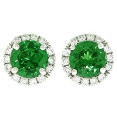 Tsavorite Diamond White Gold Stud Earrings