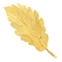 Buccellati Gold leaf Brooch 11