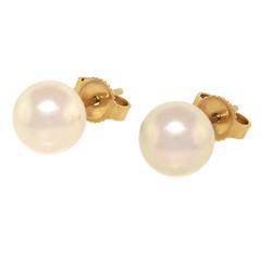 Mikimoto Pearl and Gold Studs