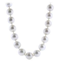 T. Foster & Co. Nearly Uniform 10.1 to 11.7 South Sea Pearl Necklace