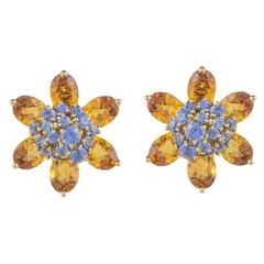 Van Cleef & Arpels Hawaii Citrine Sapphire Earrings