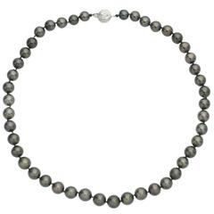Dark Gray Tahitian Pearl Necklace