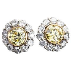 Fancy Yellow GIA Diamond Halo Cluster Earrings Studs 11