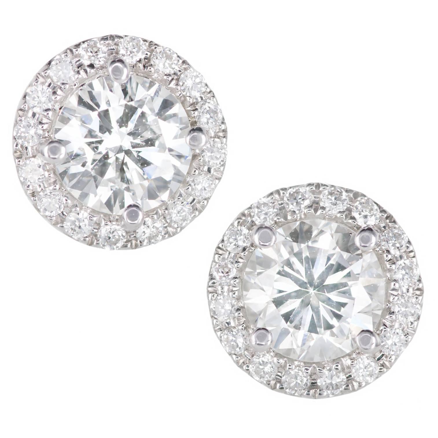 Peter Suchy Round Halo Diamond Gold Stud Earrings 