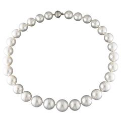 Elegant South Sea Pearl Necklace
