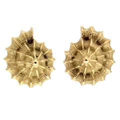 Scallop Shell Gold Earrings