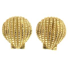Gold Scallop Shell Earrings 8