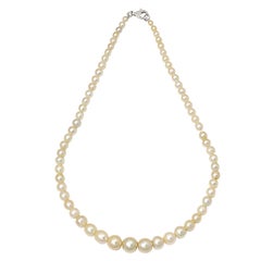Natural Saltwater Pearl Necklace