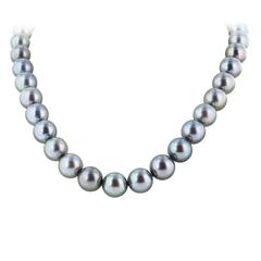 Tahitian Pearl Necklace