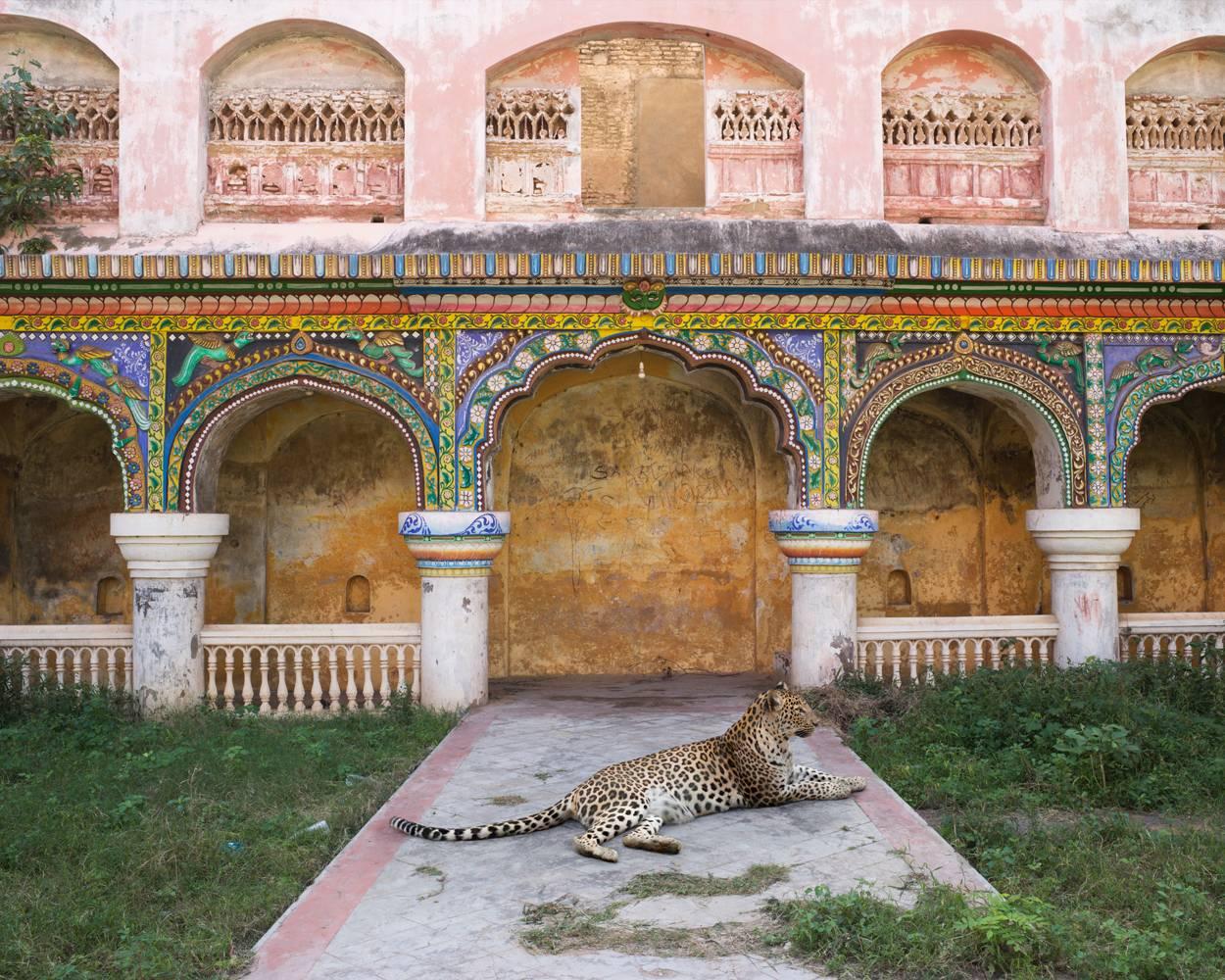 Karen Knorr Color Photograph - Maharani's Attendant, Thanjavur Palace, Tanjore