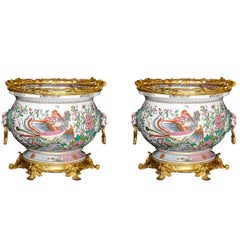 Louis XVI Planters and Jardinieres