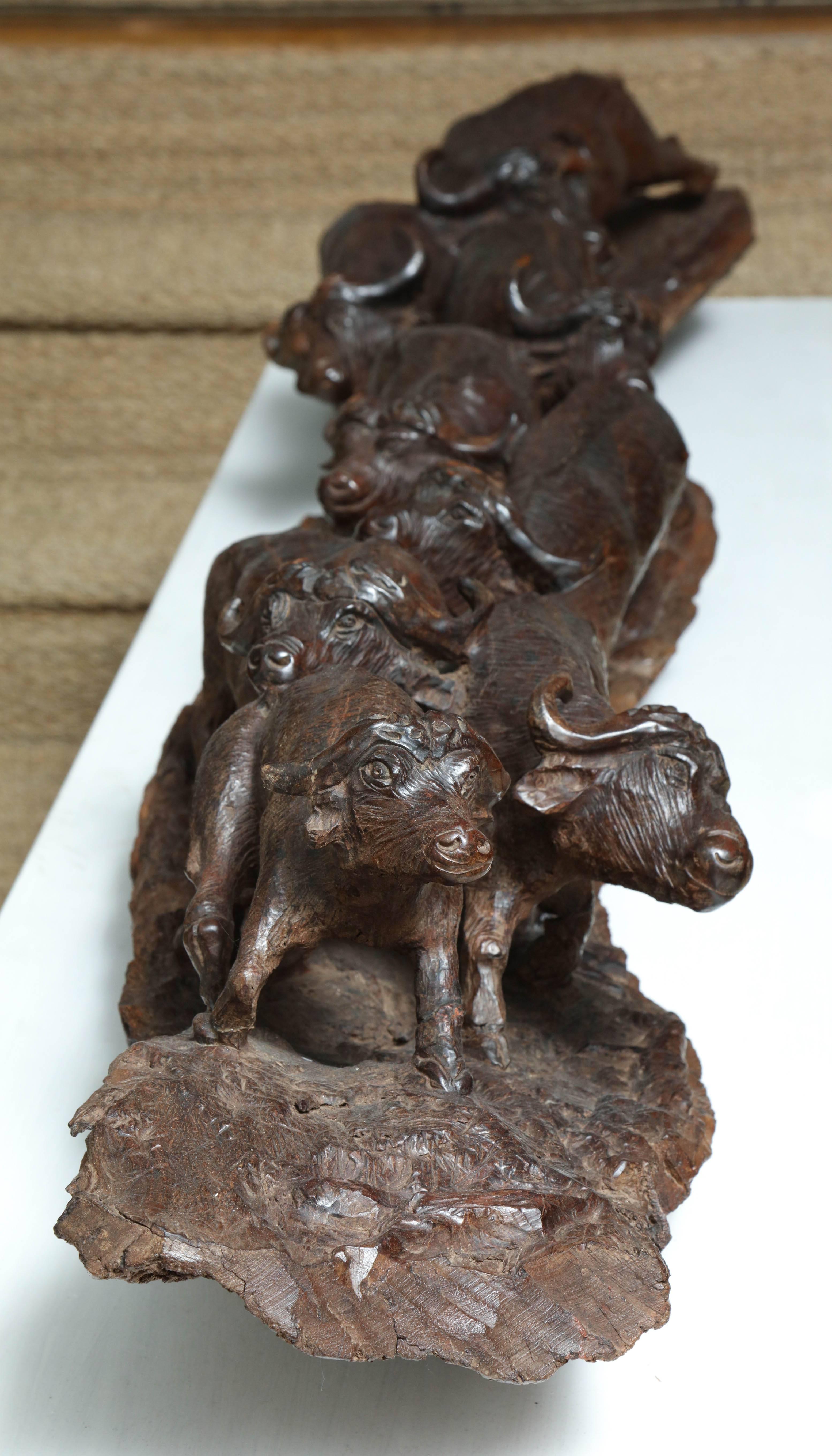 Sporting Art Cape Buffalo Stampede Sculpture