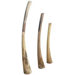 Set of Three Graduated, Curved Wood Candlesticks