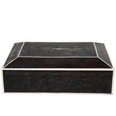 Large Exotic Shagreen Box with White Bone Inlay