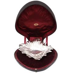 Victorian Free-Form Footed Shell Centerpiece in Original Case 5