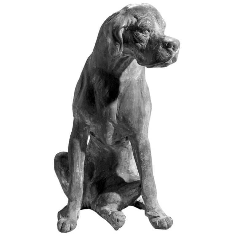 Seated Lead Dog