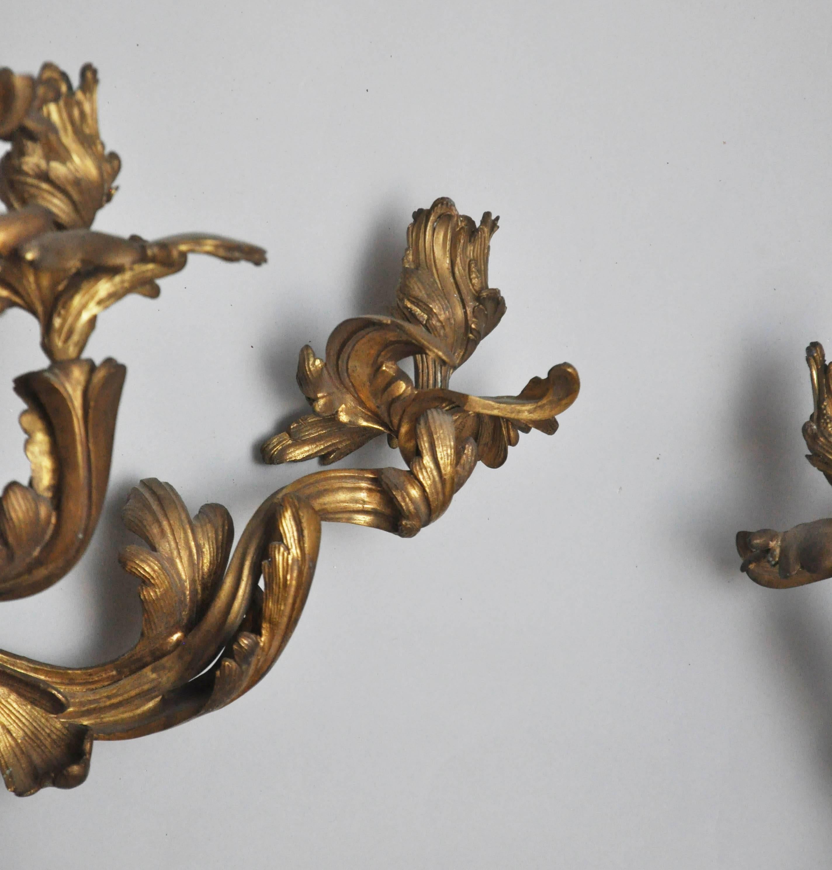 Set of Four Monumental Gilt Bronze Five-Light Candelabra Sconces, Paris, 1860 In Good Condition For Sale In Chicago, IL