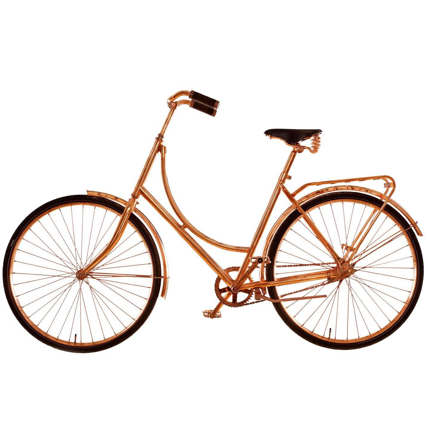 Van Heesch Design No. 40 "Copper Bike" in Steel, Copper, Leather, 2014 For Sale