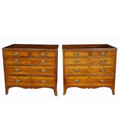 Pair of George III Style Mahogany Chest of Drawers