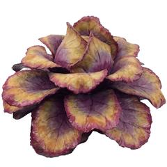 Used Purple Cabbage Centerpiece
