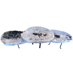 Group of Petrified Wood Nesting Tables Coffee Table