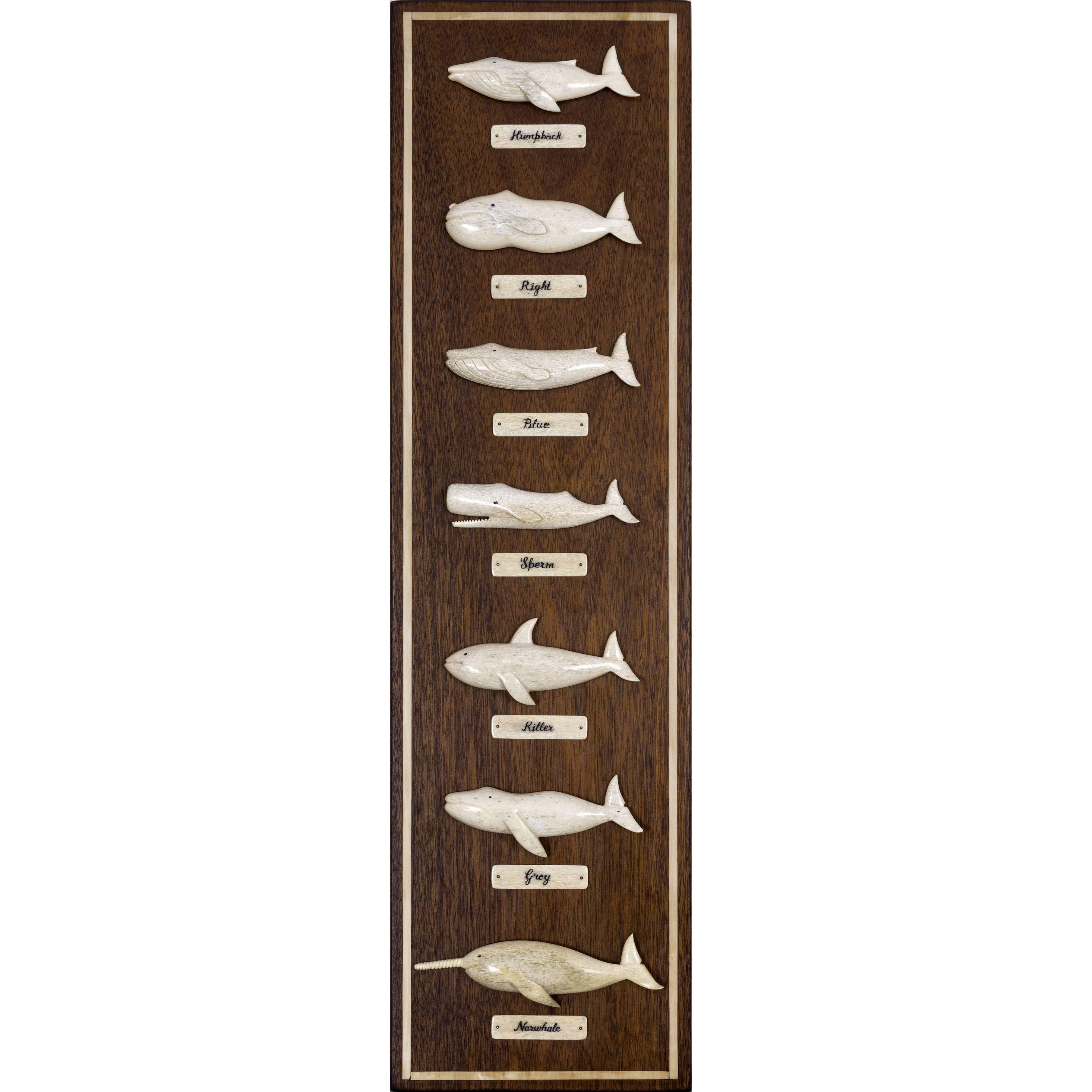 Mahogany Whaleboard Plaque with Seven Different Whale Species by Bill Sayle