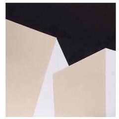 Abstract Black and White Artwork 9