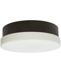 French Ceiling Light Attributed to Jacques Biny