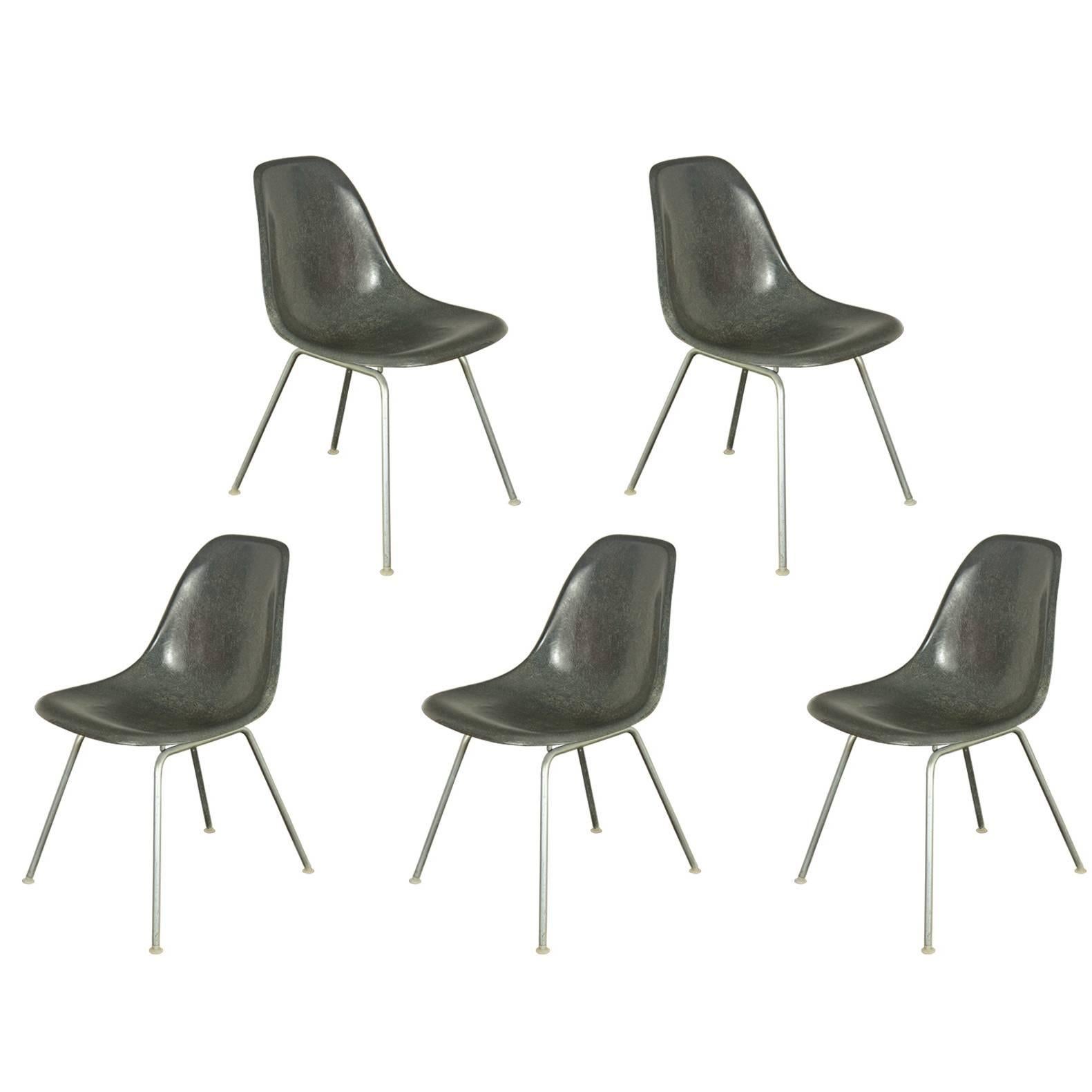 Eames for Herman Miller Elephant Gray Fiberglass Shell Chairs