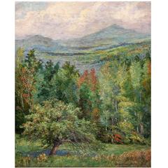 Antique  Lake Placid Oil Painting 