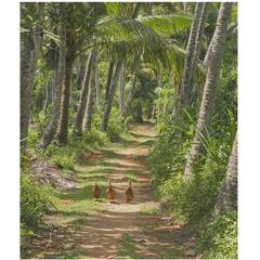 Fine Art Photograph, Kerala, S. India, Limited Edition #1 of 5