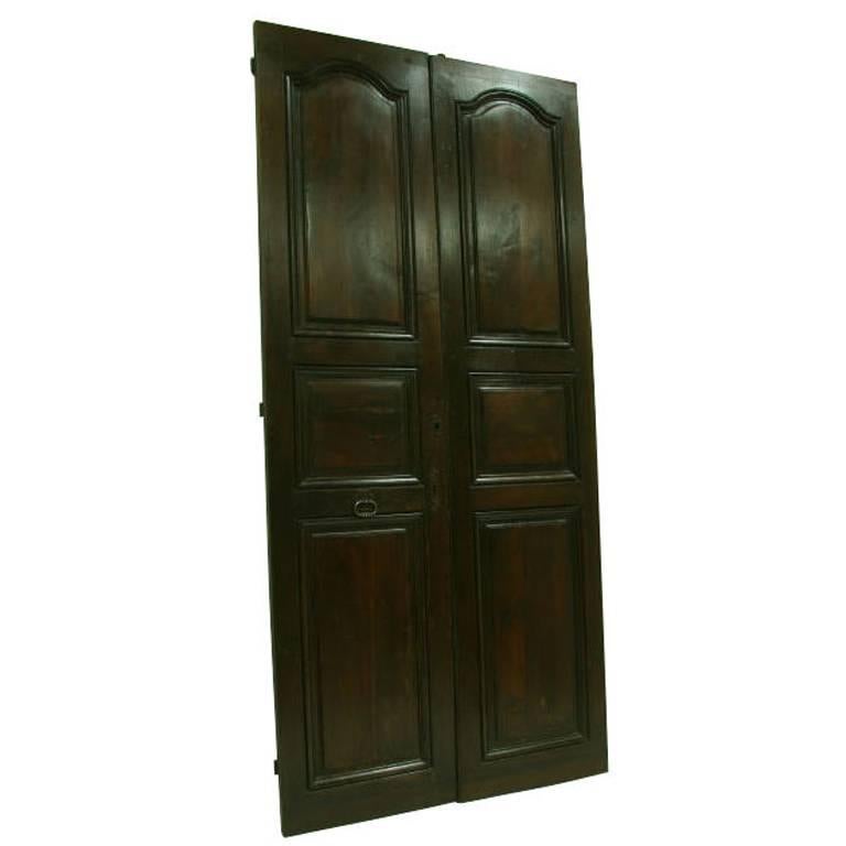 Pair of 19th Century French Walnut Doors