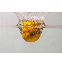 Splash Photography 7