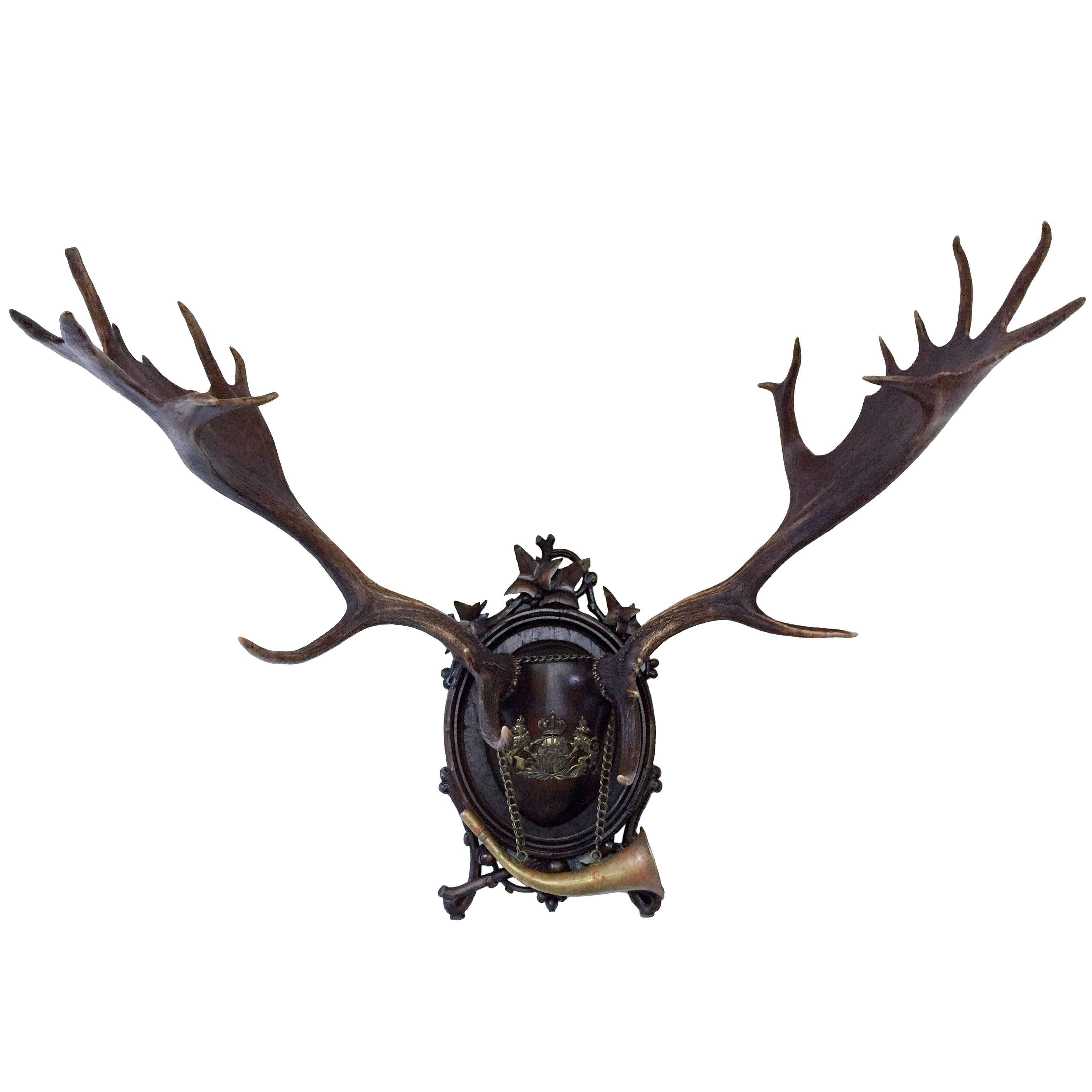19th Century Hand-Carved Habsburg Fallow Deer and Brass Hunting Horn