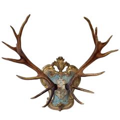 19th C. Red Stag Trophy on Late 18th-Early 19th Century Tyrolean Plaque