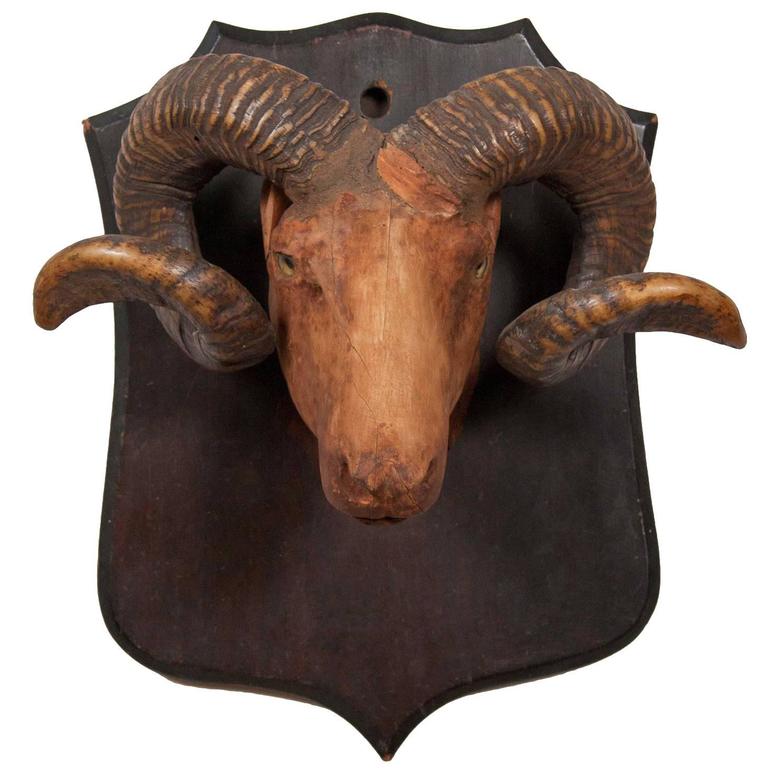 American Carved Wood Long Horn Sheep Trophy Mount at 1stDibs